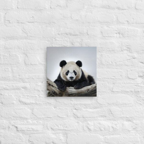 thin-canvas-in-12x12-front-64e9741a821a4.jpg